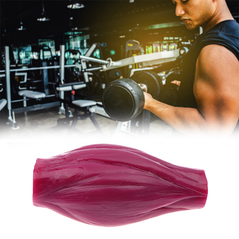 1ポンドの筋肉で健康維持＆減量モチベーションを高めるためのフ - Nutrition For Fitness Course のレビューと価格