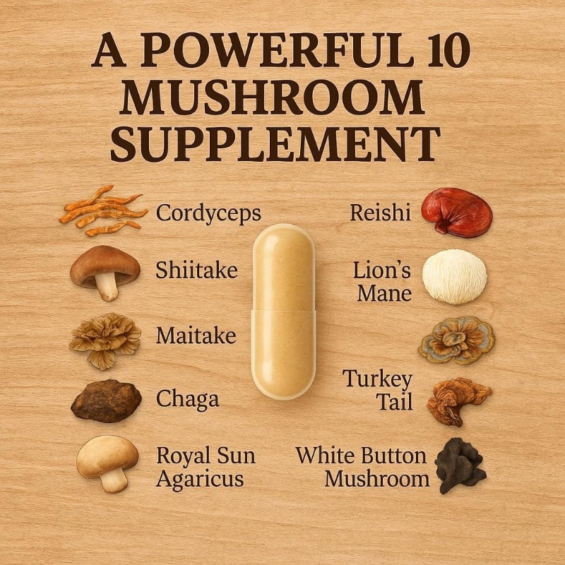 きのこ複合サプリメント10 in 1、ヤマブシタケ、冬虫夏草 - Lion Mane Mushroom のレビューと価格