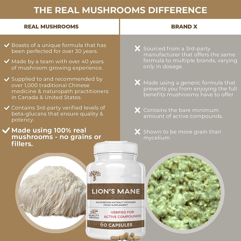ライオンのたてがみ霊芝キノコカプセルは、免疫力を高め、睡眠の - Lion Mane Mushroom のレビューと価格